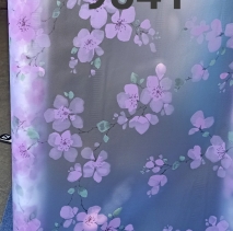 Decal kiếng hoa văn 9541/E842 (Hoa đào tím)