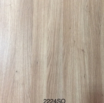 2224SO