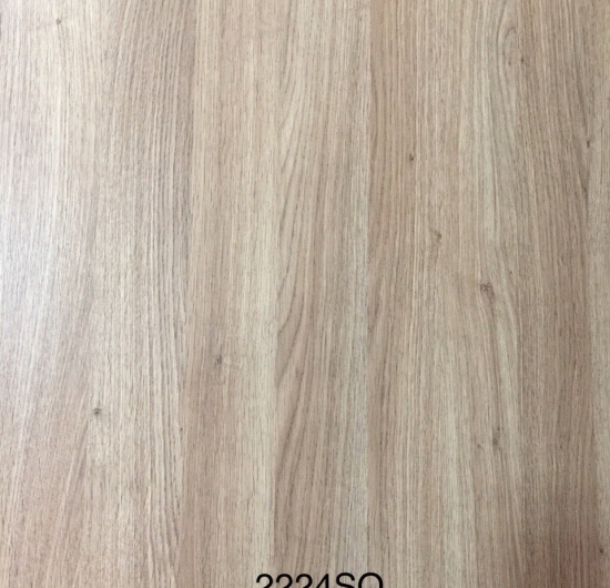 2224SO